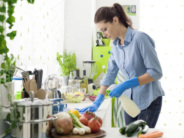 Occupazione e Lavoro Domestico in Italia: Analisi sulla Crescita, l’Irregolarità e il Ruolo dell’Età dei Datori