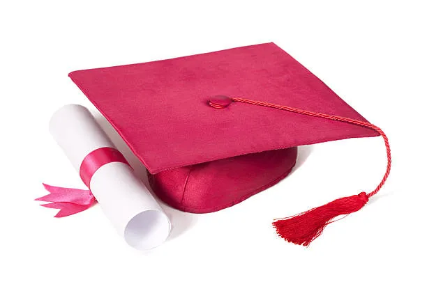 Onorificenza Accademica a Sergio Mattarella: Una Laurea Honoris Causa Ricca di Significato all’Università di Firenze