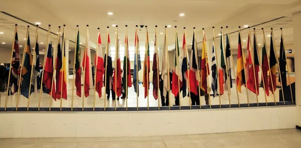 Opportunità internazionali: al via il bando 2026 per 370 tirocini nelle sedi diplomatiche per studenti universitari