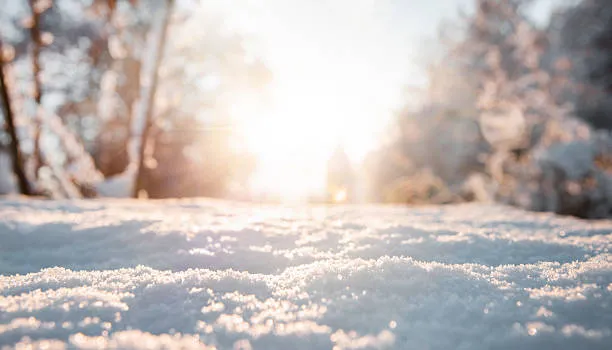 Tracce di Farmaci e Cosmetici nei Ghiacci Artici: Nuove Allarmi dai Contaminanti Emergenti