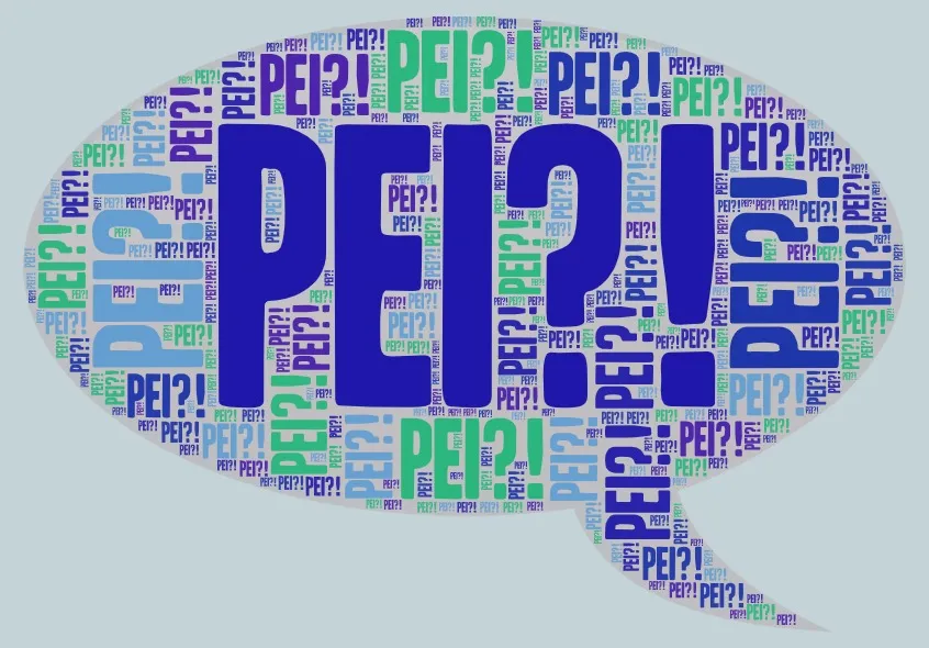 PEI nella scuola italiana: da mero adempimento a strumento reale d’inclusione – Guida pratica 2025