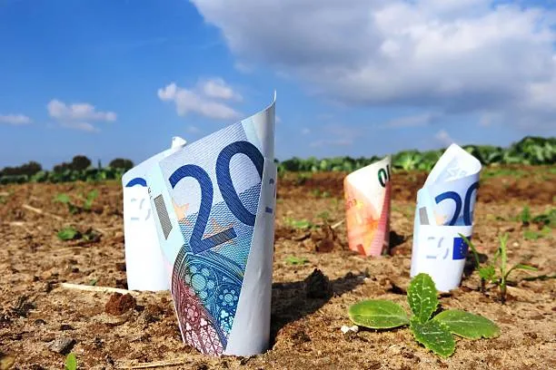 Pensioni agricole sotto 750 euro: 130 in meno al mese dal minimo Inps