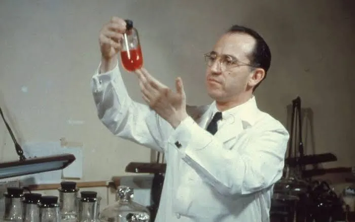 Perché il sistema immunitario può favorire il tumore: la scoperta Salk