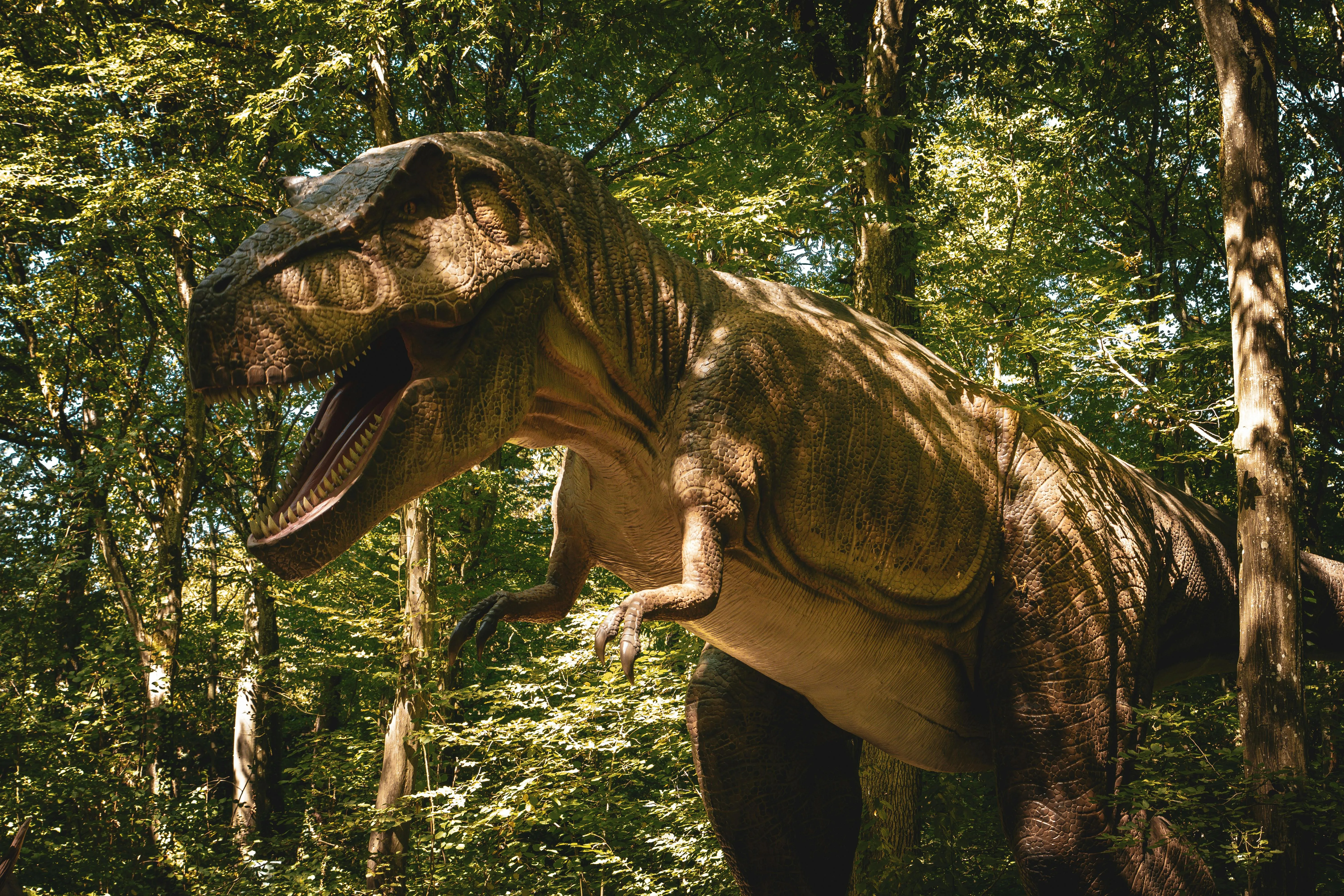 Perché il T. rex ha braccia corte: 5 famiglie, stessa risposta