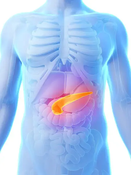 Perché il tumore del pancreas resiste ai farmaci: il ruolo di Fra-2