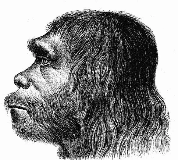 Perché la grotta turca di Üçağızlı riscrive la modernità Sapiens