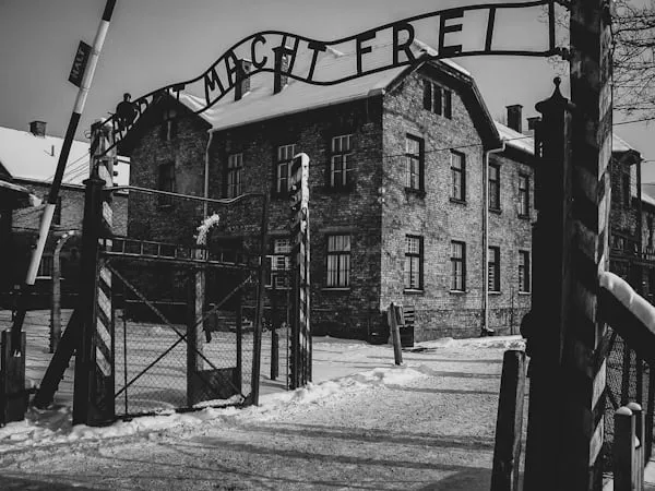 Concorso “I giovani ricordano la Shoah” 2025/26: al via la XXIV edizione sulla memoria scritta. Tutte le regole e le scadenze