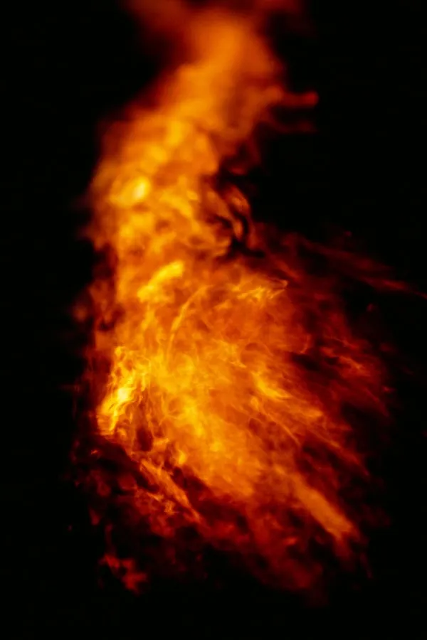 Incendiamoeba cascadensis: La Scoperta dell'Ameba di Fuoco che Vive a 63 Gradi Rivoluziona la Ricerca sulla Vita Estrema