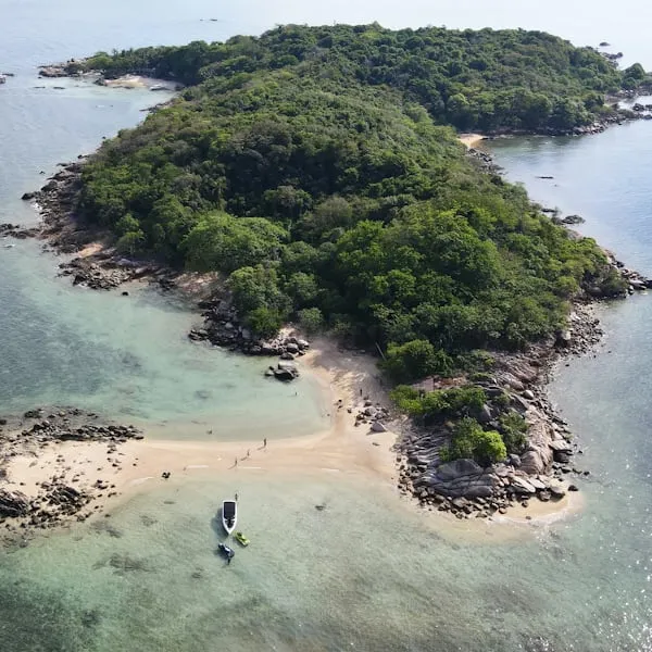 Nuove Prospettive sull’Origine delle Isole Oceaniche: Tra Antichi Continenti e Vulcani Marini