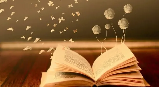 Libri e Libertà: Percorsi di Lettura per Crescere a Scuola e Nella Vita