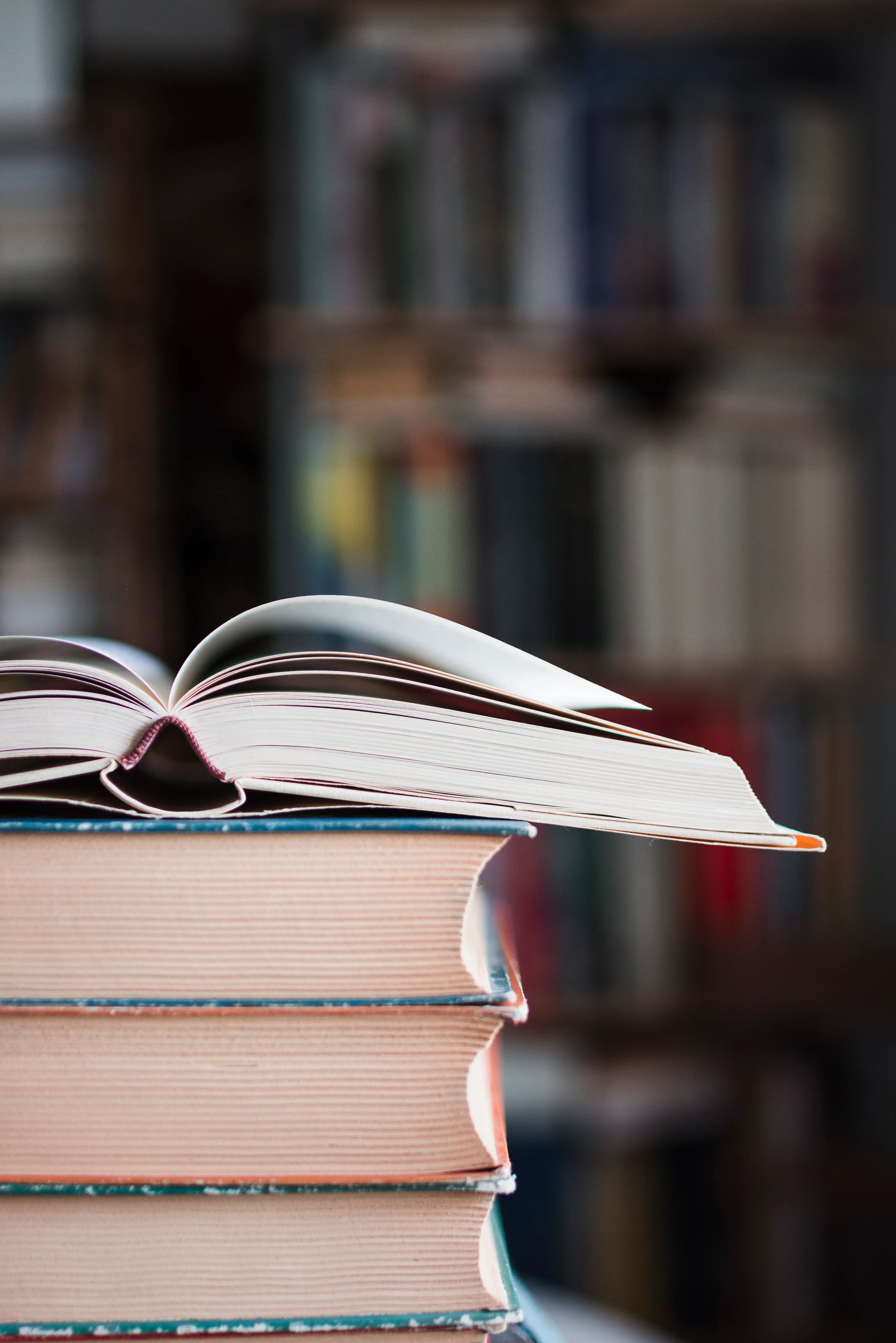 Premio Strega 2026: nel suo ottantesimo anno il più prestigioso riconoscimento letterario italiano svela i dodici finalisti