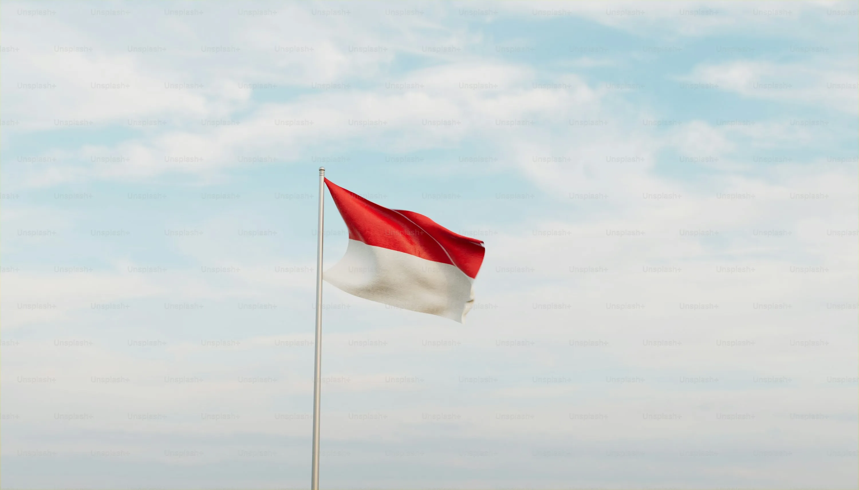 Indonesia: Rafforzare il Ruolo Strategico dei Centri Ambientali Universitari nel Sostegno alle Politiche di Gestione Ambientale