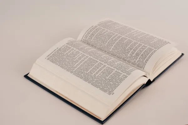 Oxford Dictionary: Il fenomeno 'rage bait' domina il 2025 e diventa parola dell'anno