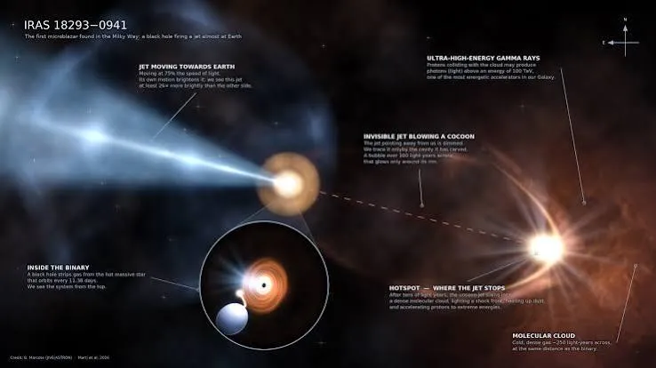 Primo microblazar della Via Lattea: Medicina e Noto confermano il getto