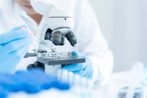 PRIN 2026, il MUR pubblica il bando: 260 milioni per la ricerca fondamentale. Domande dal 17 aprile