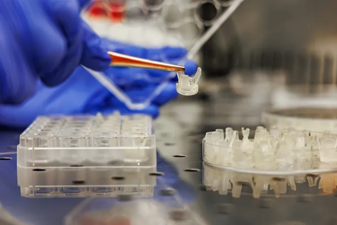 Rivoluzione nella cura dell’osteoartrosi: biomateriali intelligenti e cellule staminali per la rigenerazione articolare