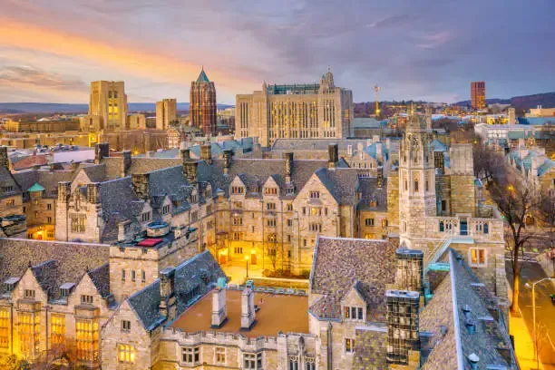 Rapporto Yale 2026: la crisi di fiducia universitaria nasce dall'interno