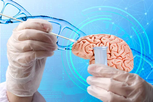 Rivoluzione nella cura del Parkinson: la scoperta della rete Scan apre a terapie mirate e più efficaci