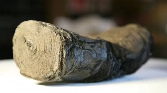 Rotoli di Ercolano, come il piombo guida la lettura ai raggi X