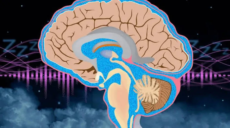 Rumore rosa sincronizzato alle onde lente: pulizia cerebrale in aumento