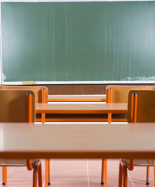 Rusconi (Anp Roma) contro le occupazioni studentesche: "Solo danni. Le scuole aprano anche al pomeriggio"