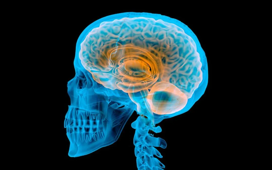 Corrette mutazioni genetiche nel cervello con successo