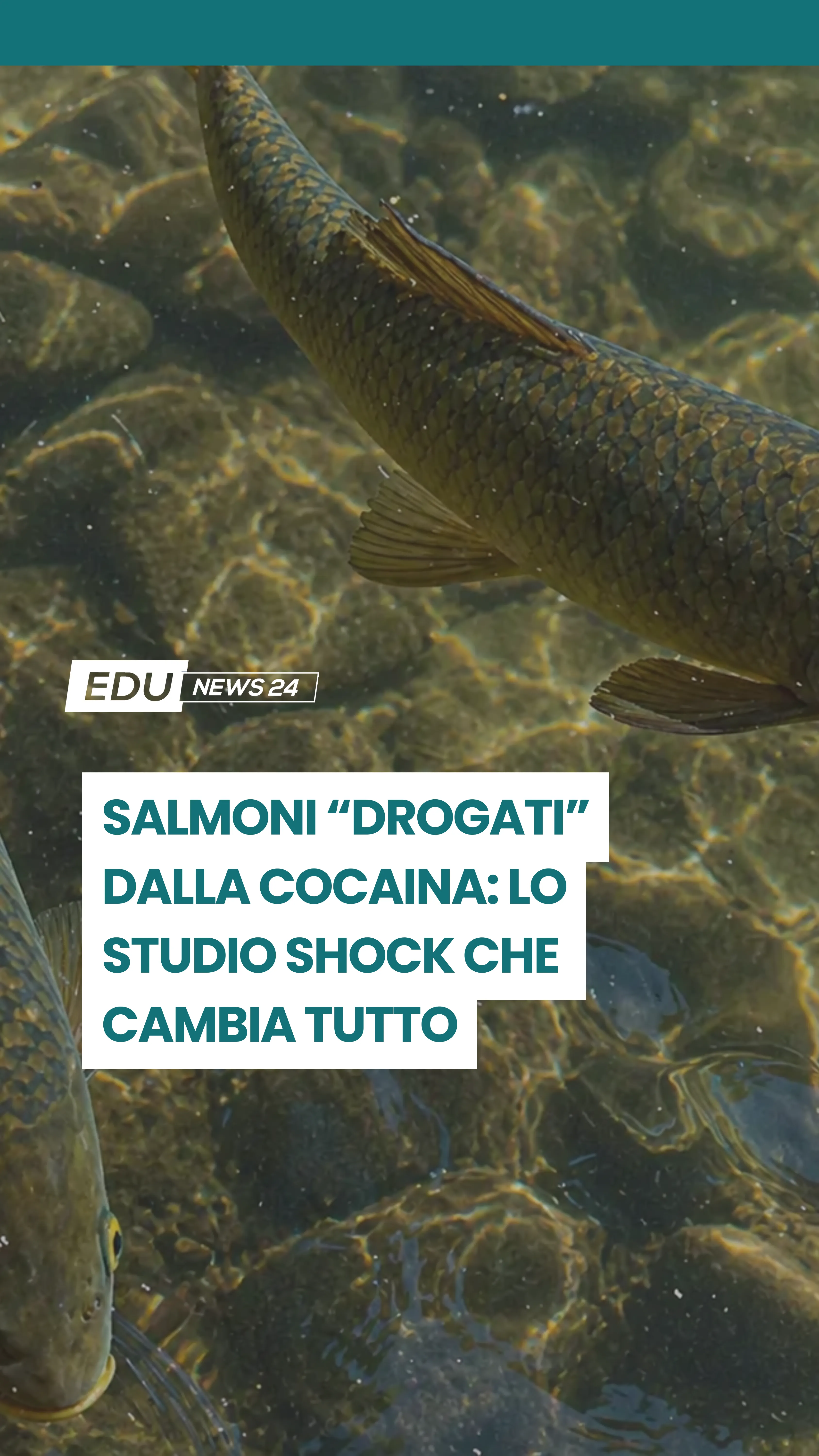 Video cover