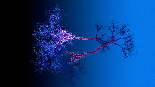 Sclerosi Multipla: Svelati Due Nuovi Sottotipi dalla Ricerca dell'University College London