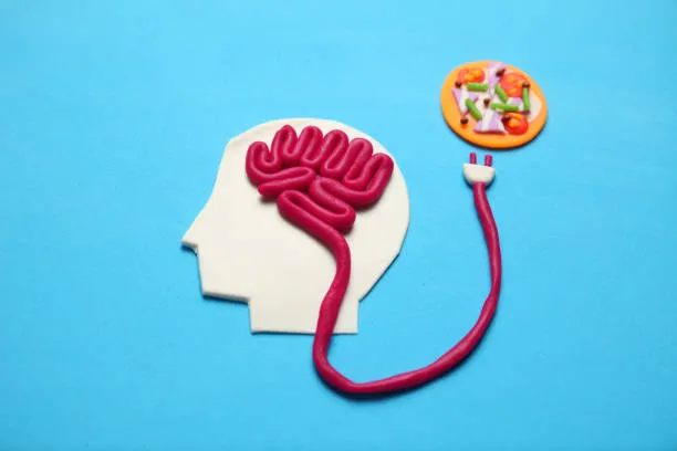 Scoperto il Circuito Cerebrale che Collega Appetito e Ricordi: Nuove Prospettive nella Lotta contro Disturbi Alimentari e Obesità