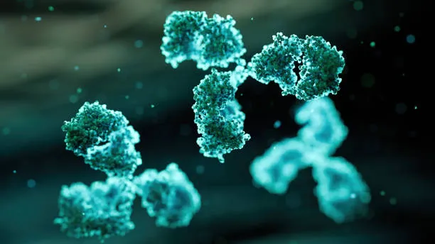 Scoperto il manuale che insegna alle cellule immunitarie a proteggere gli organi