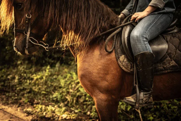 Famiglia nel bosco di Palmoli: il dibattito tra diritto all’educazione e provvedimenti delle autorità