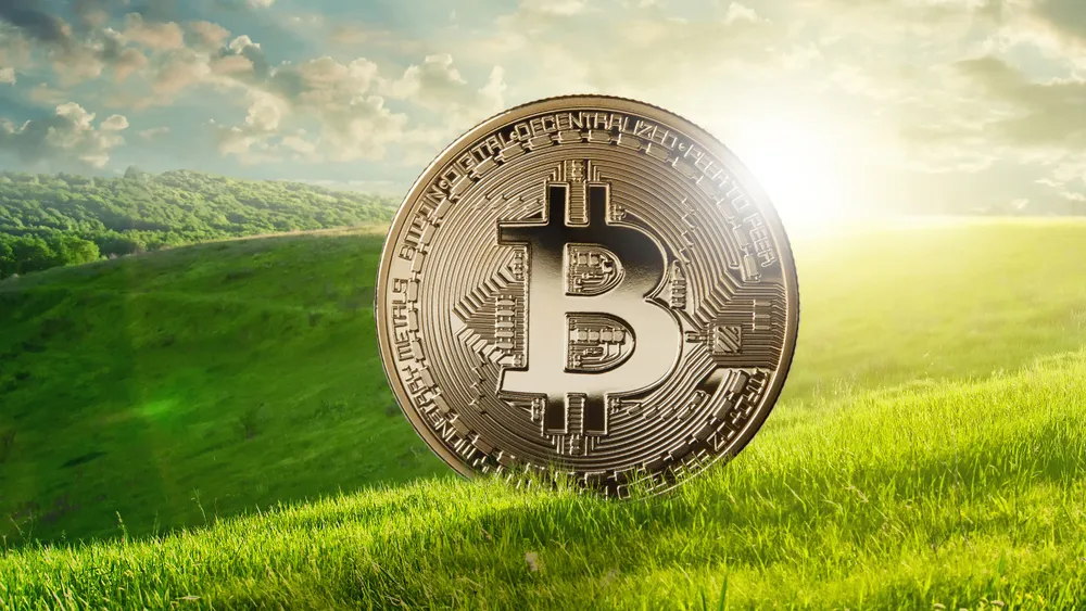 Tassare AI e Bitcoin per l'ambiente: realtà o utopia?