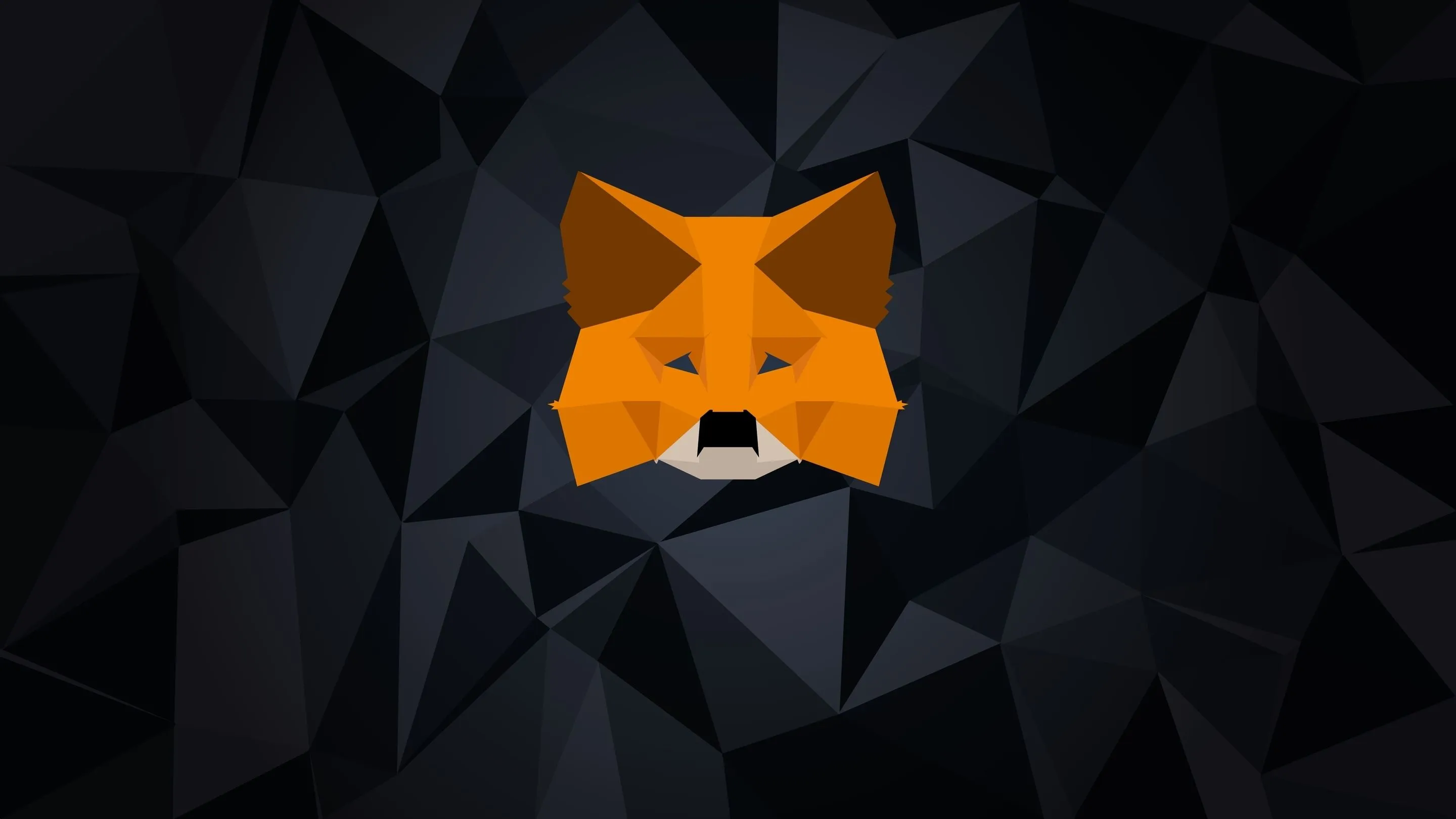 MetaMask: un bug minaccia la salute degli SSD