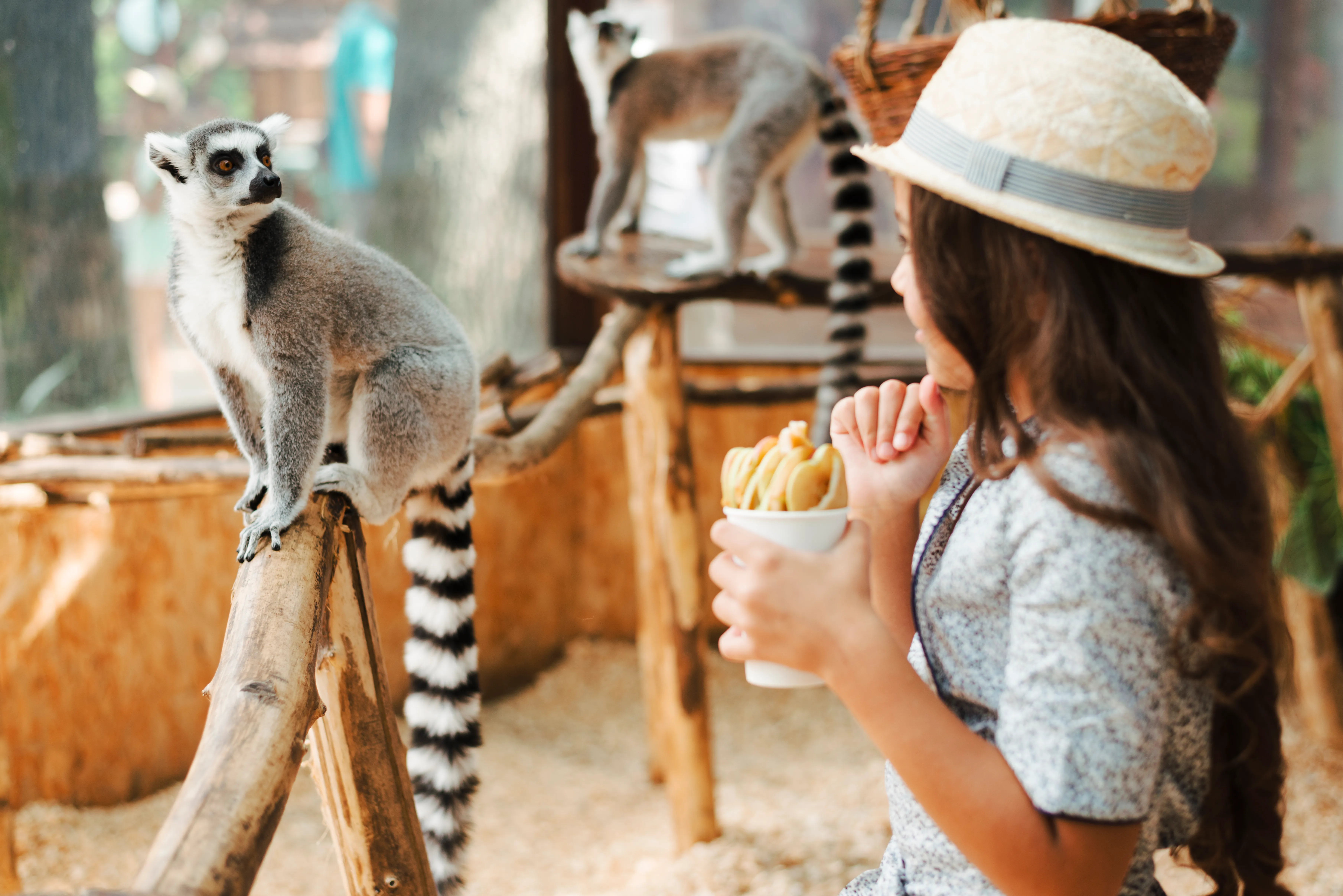 Spettacoli con animali vietati in Egitto: turismo più etico e sicuro
