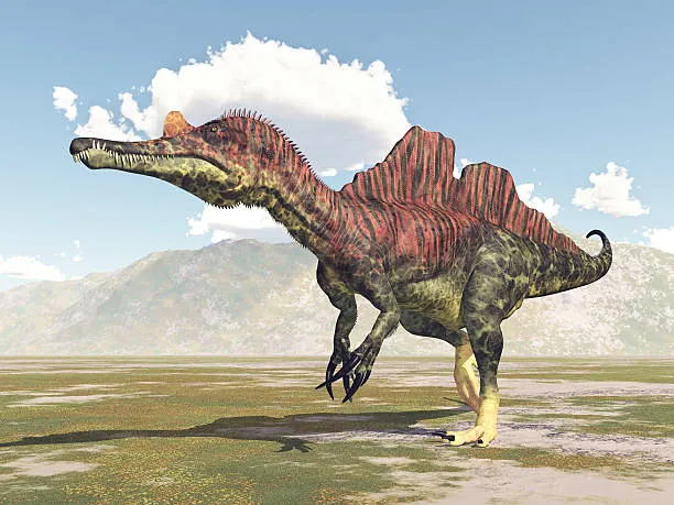 Spinosaurus mirabilis: scoperta in Niger una nuova specie con cresta a scimitarra rivoluziona la paleontologia