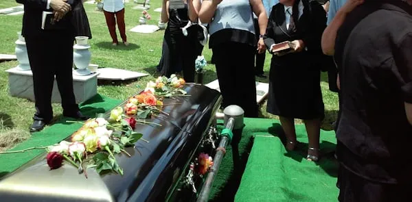 Stefano Addeo, morto un anno dopo il post: i numeri ignorati
