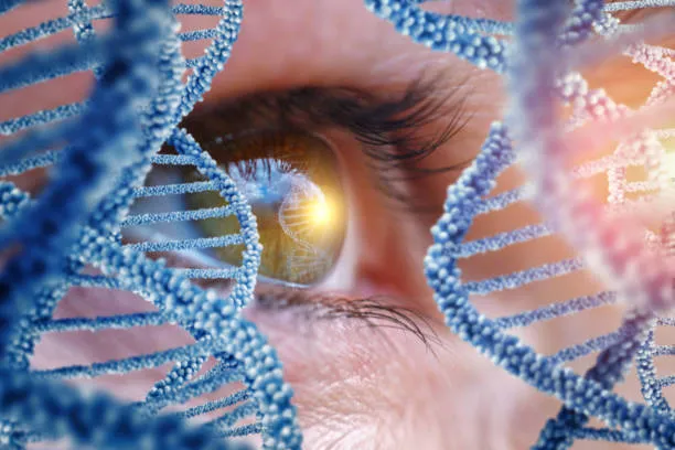 Terapia genica per il glaucoma: cosa cambia per 1 milione di italiani