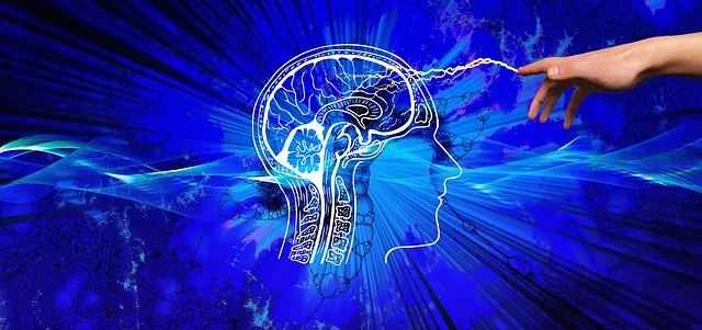 Un Milione di Dollari per Esplorare la Flessibilità del Cervello: Il Nuovo Laboratorio di Neuroscienze a Genova