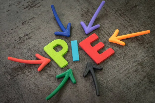 The PIE lancia una rete internazionale di consulenza per le istituzioni educative