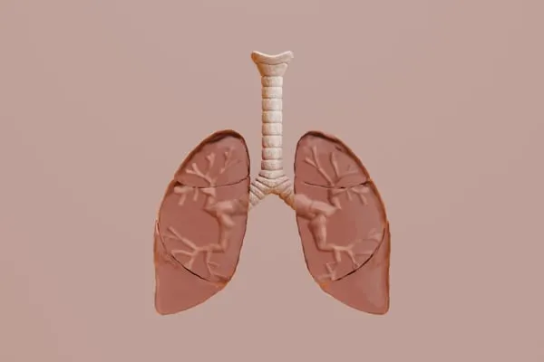 Un polmone umano su chip rivoluziona la ricerca: simulazione avanzata di respirazione e malattie senza l’uso di animali