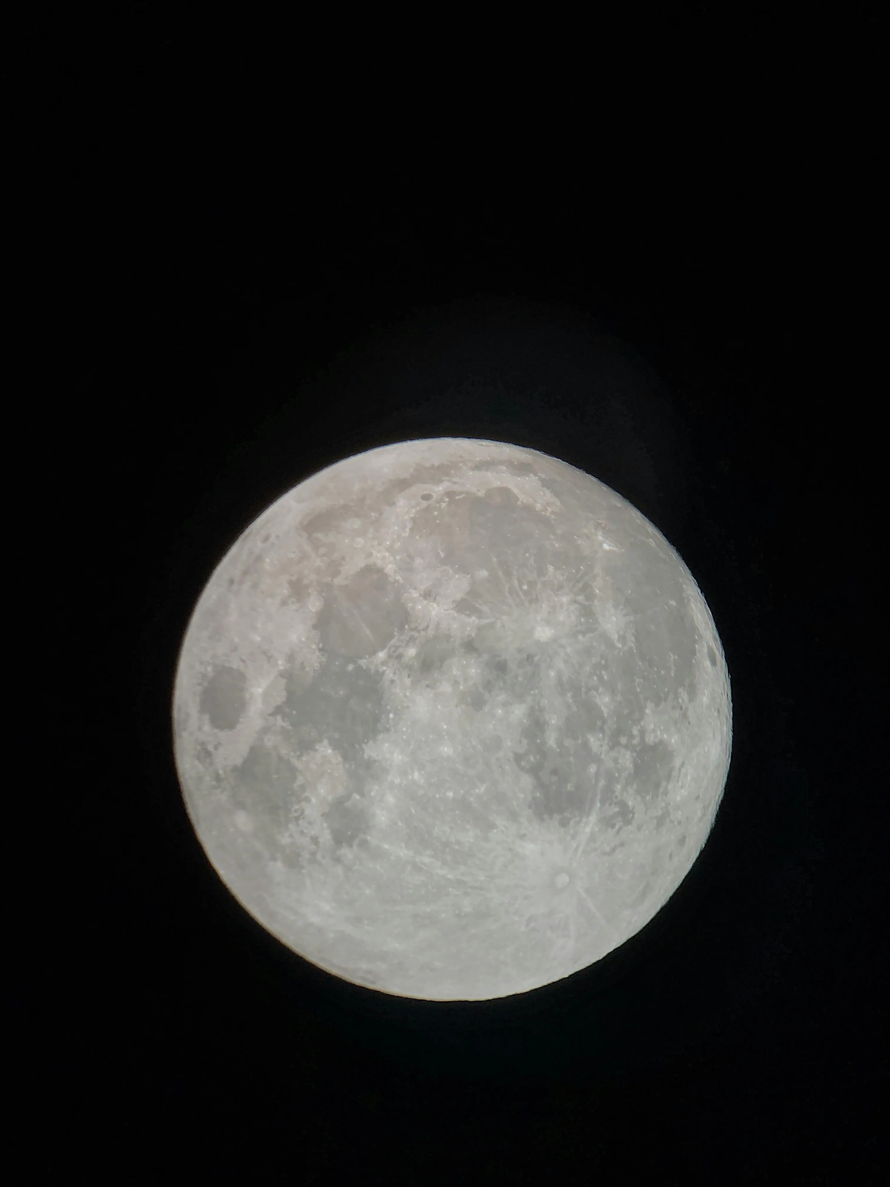 Una Luna Gigante si Nasconde Attorno a un Esopianeta: L'indizio dalle Oscillazioni di HD 206893 B