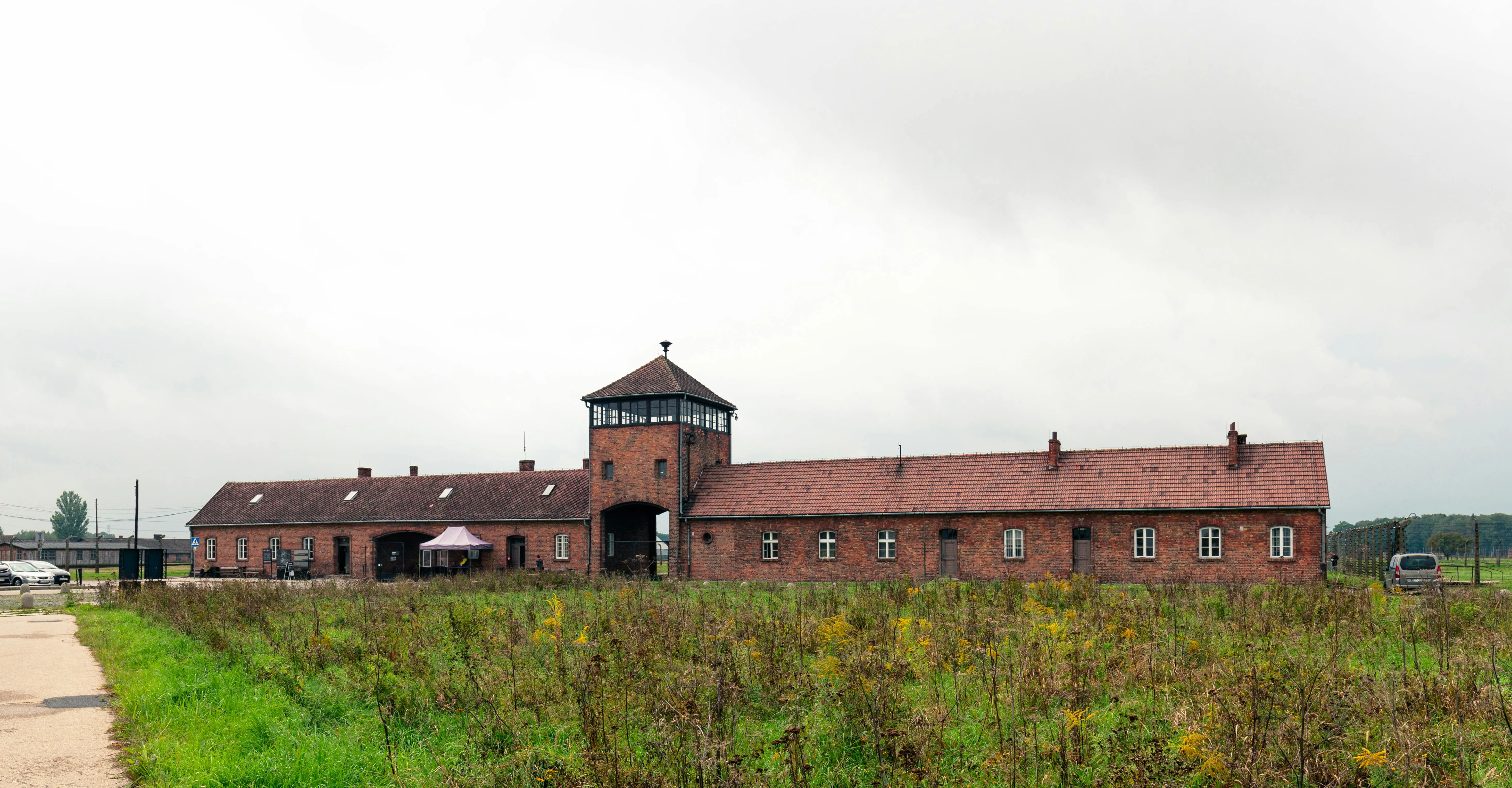 Viaggio della Memoria 2026: Gli studenti delle scuole superiori in visita guidata online ai campi di Auschwitz-Birkenau
