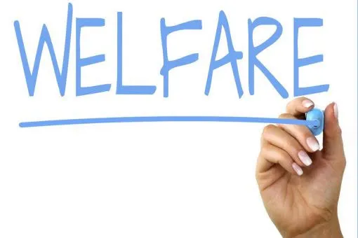 Welfare per docenti e ATA, quanto vale davvero: 67 euro a testa l'anno